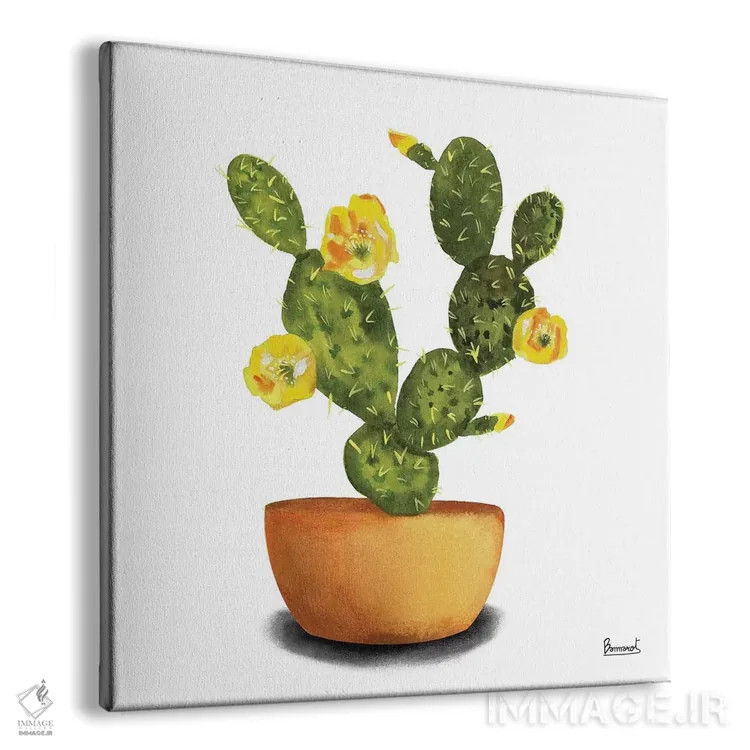 تابلو گلهای کاکتوس ۳ اثر باناروت - نمای پرسپکتیو محصول