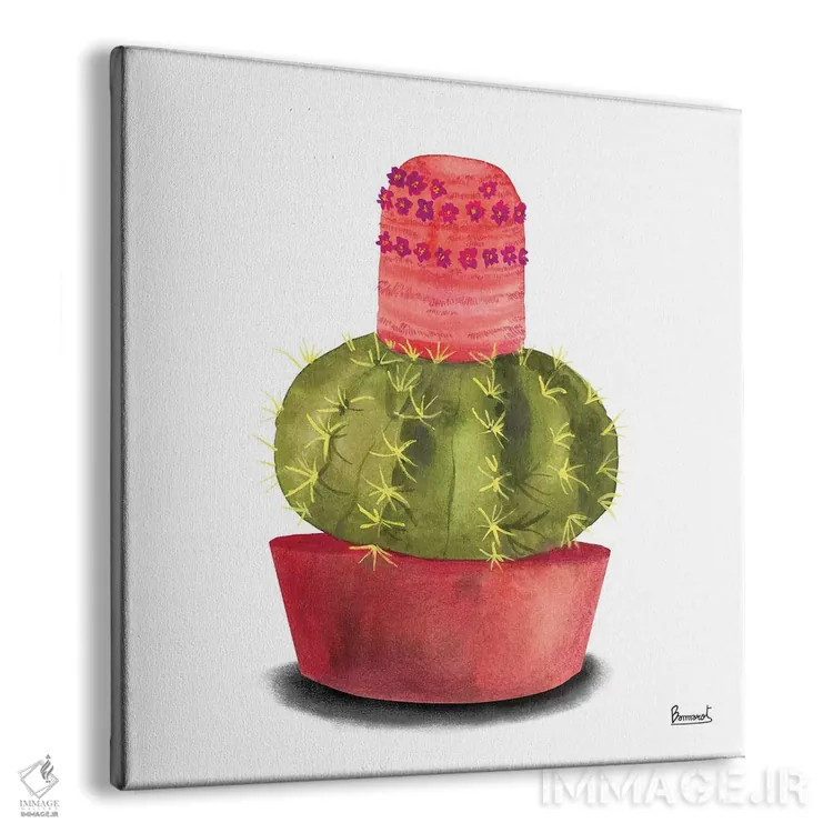 تابلو گلهای کاکتوس ۴ اثر باناروت - نمای پرسپکتیو محصول