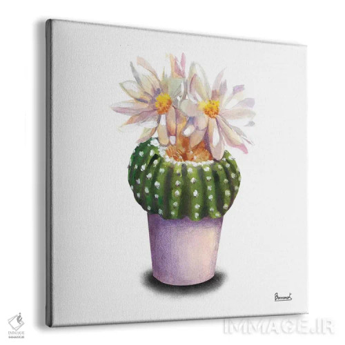 تابلو گلهای کاکتوس ۹ اثر باناروت - نمای پرسپکتیو محصول