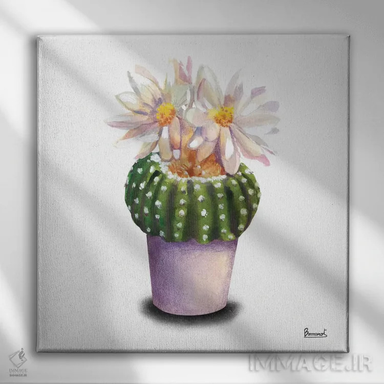 تابلو گلهای کاکتوس ۹ اثر باناروت - نمای روبهرو روی دیوار