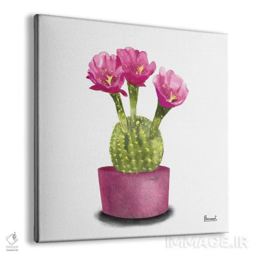 تابلو گلهای کاکتوس ۵ اثر باناروت - نمای پرسپکتیو محصول