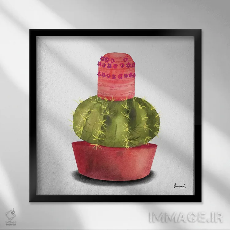 تابلو گلهای کاکتوس ۴ اثر باناروت - نمای قابدار مشکی