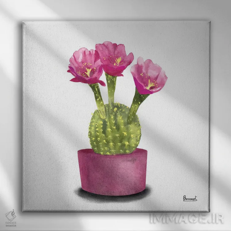 تابلو گلهای کاکتوس ۵ اثر باناروت - نمای روبهرو روی دیوار
