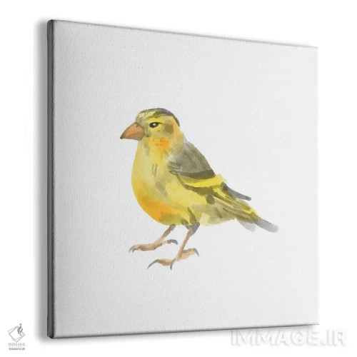 تابلو پرنده آوازخوان ۱ اثر باناروت - نمای پرسپکتیو محصول