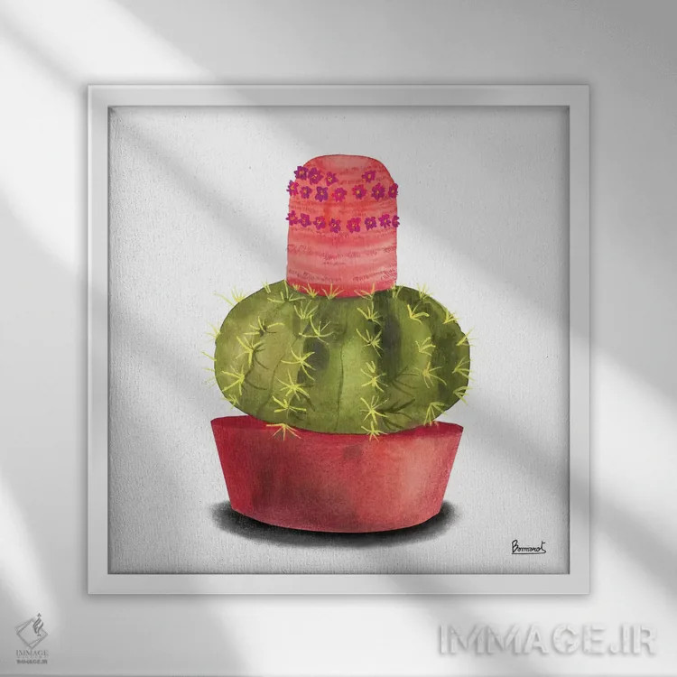 تابلو گلهای کاکتوس ۴ اثر باناروت - نمای قابدار سفید