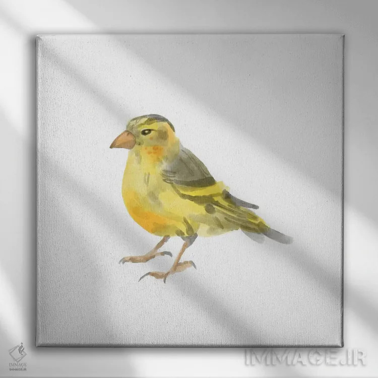 تابلو پرنده آوازخوان ۱ اثر باناروت - نمای روبهرو روی دیوار