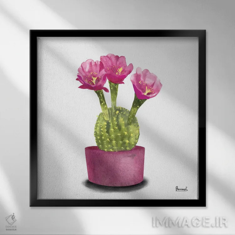 تابلو گلهای کاکتوس ۵ اثر باناروت - نمای قابدار مشکی