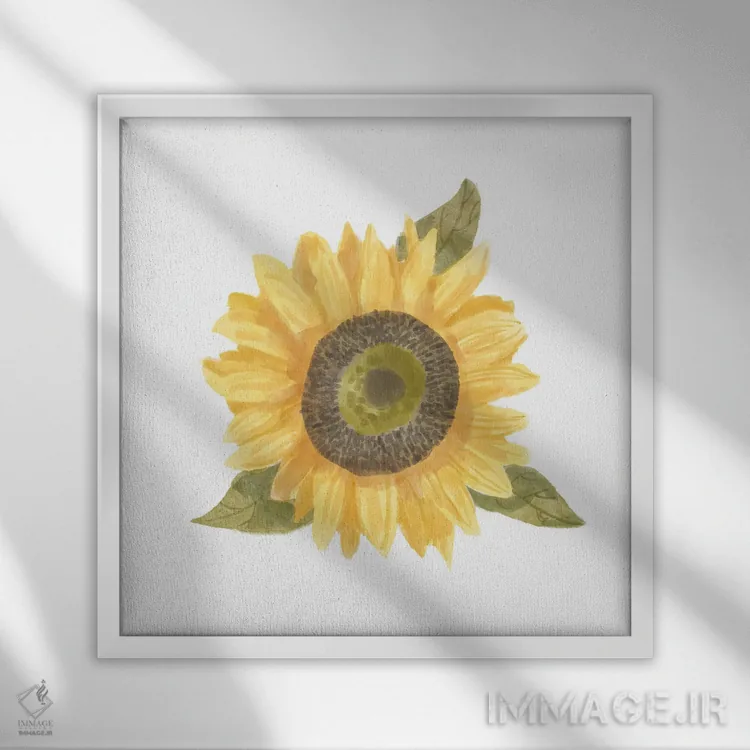 تابلو یک گل آفتابگردان ۱ اثر باناروت - نمای قابدار سفید