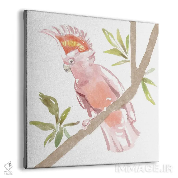 تابلو کاکاتوی گرمسیری (پرنده) اثر باناروت - نمای پرسپکتیو محصول