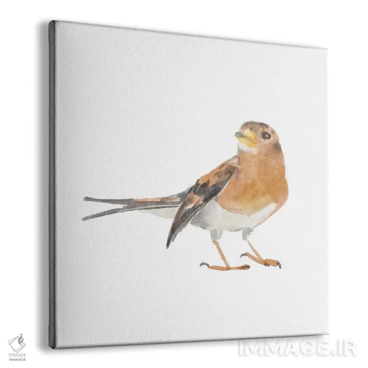 تابلو پرنده آوازخوان ۵ اثر باناروت - نمای پرسپکتیو محصول