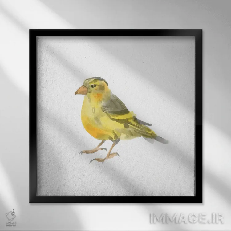 تابلو پرنده آوازخوان ۱ اثر باناروت - نمای قابدار مشکی