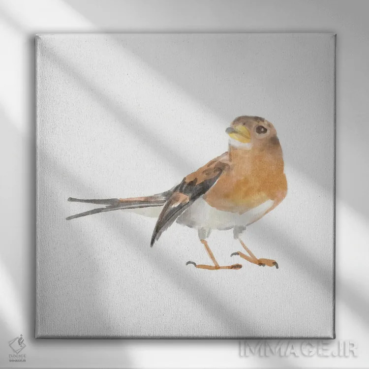 تابلو پرنده آوازخوان ۵ اثر باناروت - نمای روبهرو روی دیوار