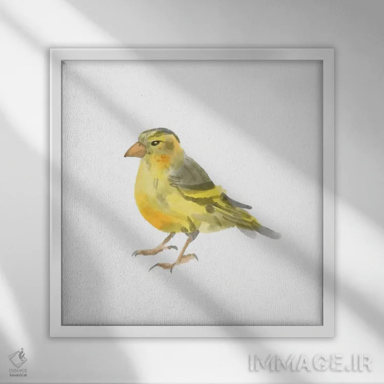 تابلو پرنده آوازخوان ۱ اثر باناروت - نمای قابدار سفید