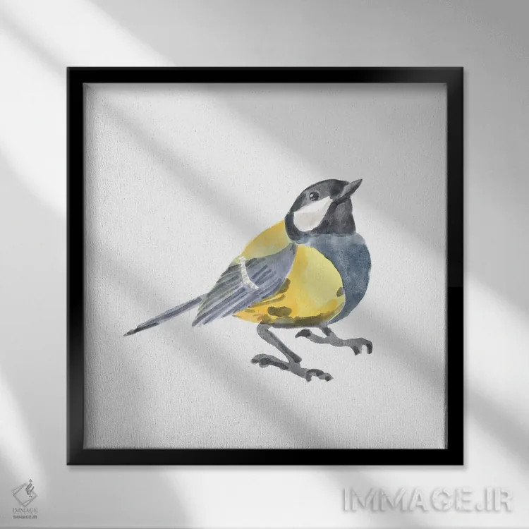 تابلو پرنده آوازخوان ۳ اثر باناروت - نمای قابدار مشکی