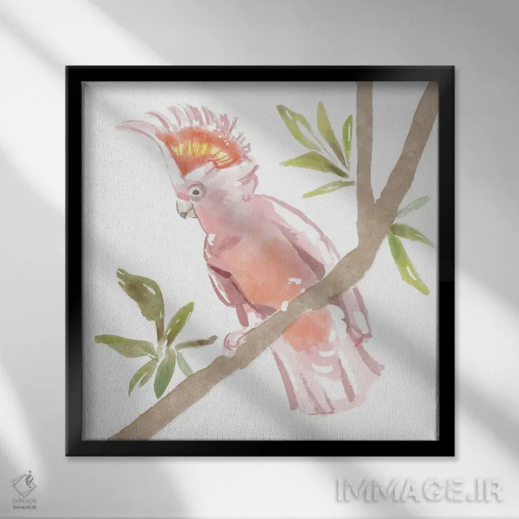 تابلو کاکاتوی گرمسیری (پرنده) اثر باناروت - نمای قابدار مشکی