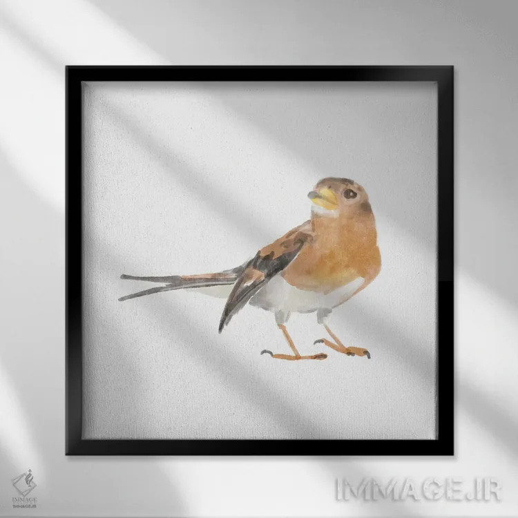 تابلو پرنده آوازخوان ۵ اثر باناروت - نمای قابدار مشکی