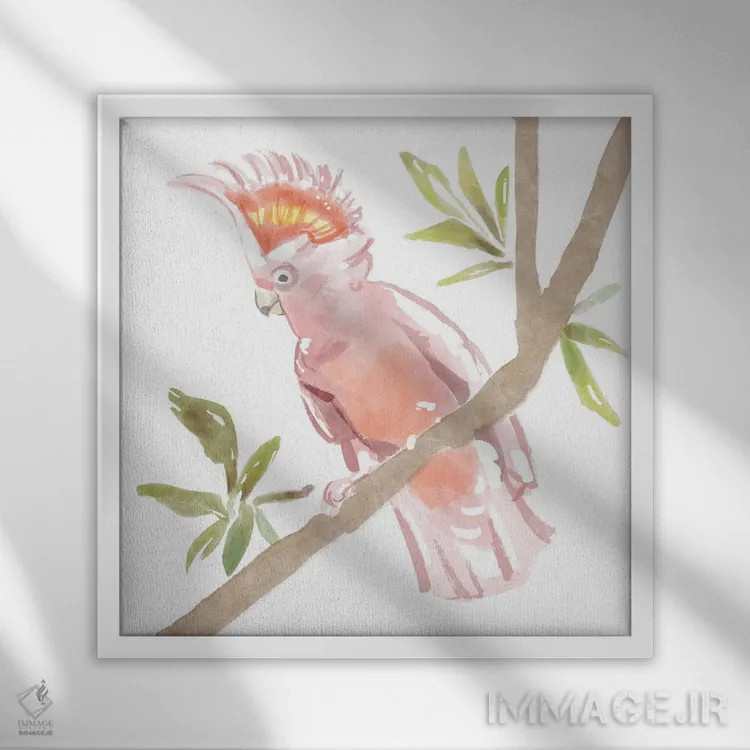 تابلو کاکاتوی گرمسیری (پرنده) اثر باناروت - نمای قابدار سفید