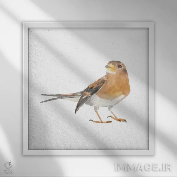 تابلو پرنده آوازخوان ۵ اثر باناروت - نمای قابدار سفید