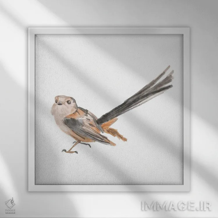 تابلو پرنده آوازخوان ۴ اثر باناروت - نمای قابدار سفید