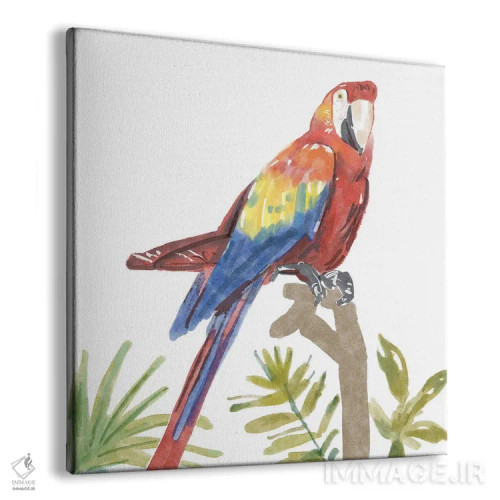تابلو طوطی گرمسیری اثر باناروت - نمای پرسپکتیو محصول