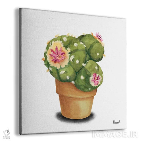 تابلو گلهای کاکتوس ۷ اثر باناروت - نمای پرسپکتیو محصول