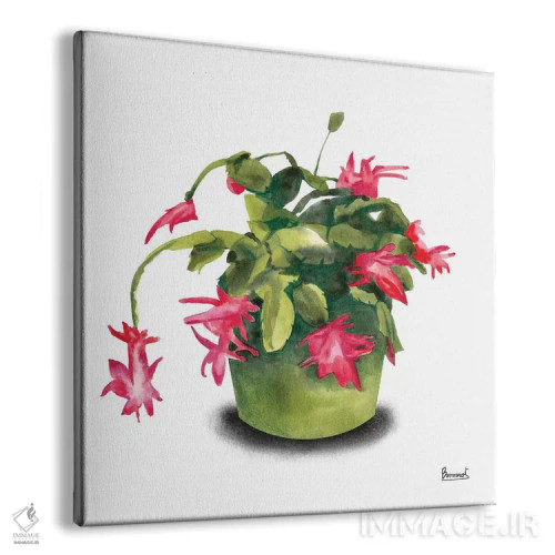 تابلو گلهای کاکتوس ۸ اثر باناروت - نمای پرسپکتیو محصول