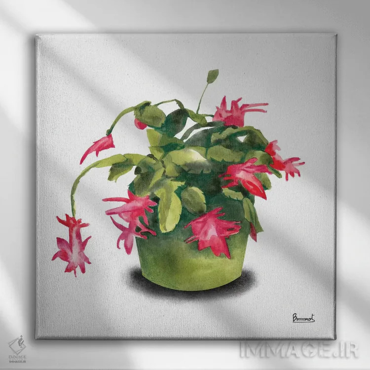 تابلو گلهای کاکتوس ۸ اثر باناروت - نمای روبهرو روی دیوار