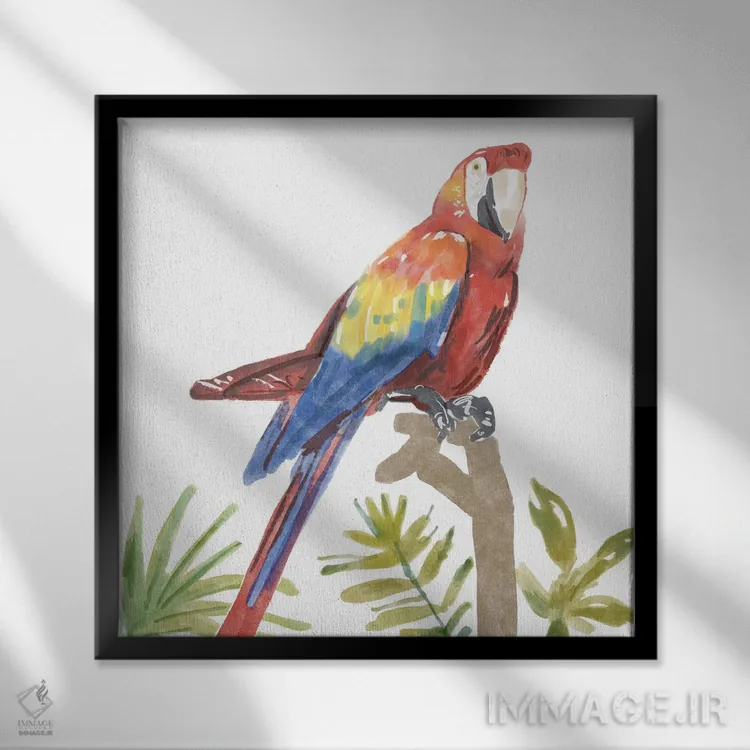 تابلو طوطی گرمسیری اثر باناروت - نمای قابدار مشکی