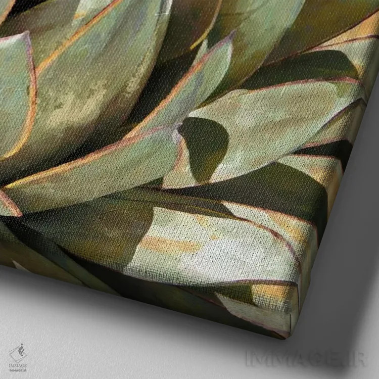 تابلو گیاه گوشتی ۱ اثر لینزی بنسون - نمای نزدیک بافت بوم