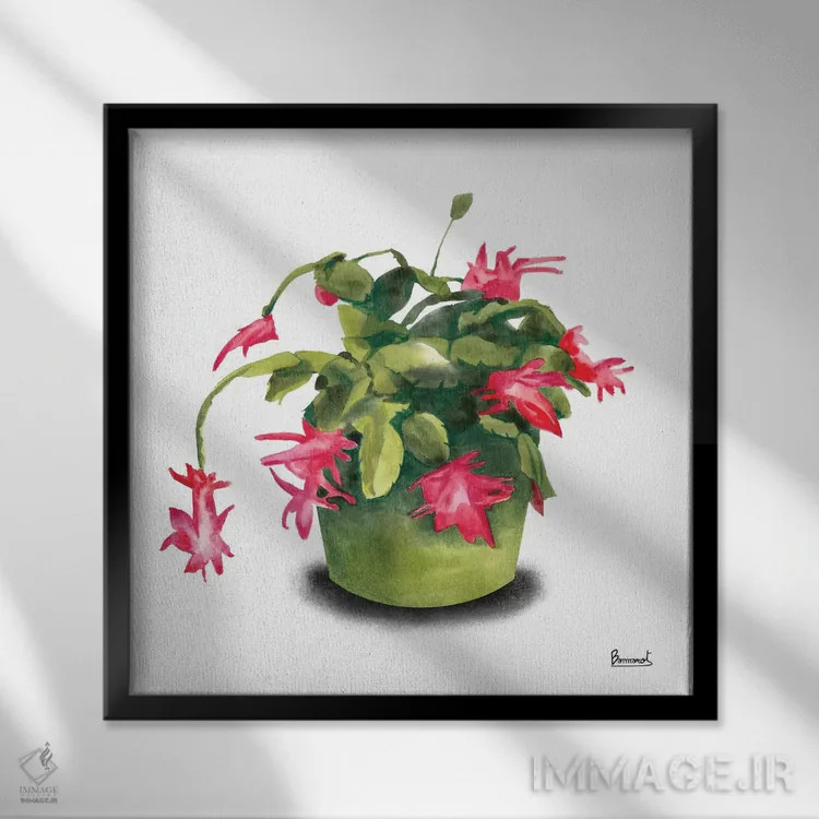 تابلو گلهای کاکتوس ۸ اثر باناروت - نمای قابدار مشکی