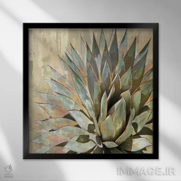 تابلو گیاه گوشتی ۱ اثر لینزی بنسون - نمای قابدار مشکی