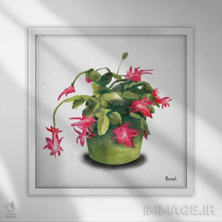 تابلو گلهای کاکتوس ۸ اثر باناروت - نمای قابدار سفید