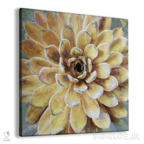 تابلو گیاه گوشتی ۲ اثر لینزی بنسون - نمای پرسپکتیو محصول