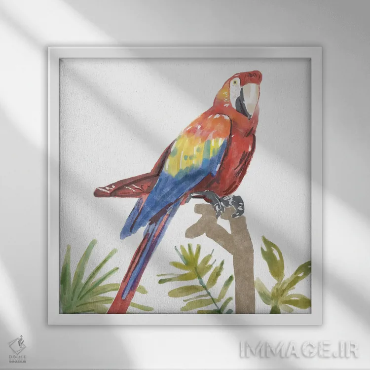 تابلو طوطی گرمسیری اثر باناروت - نمای قابدار سفید