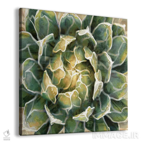 تابلو گیاه گوشتی ۳ اثر لینزی بنسون - نمای پرسپکتیو محصول