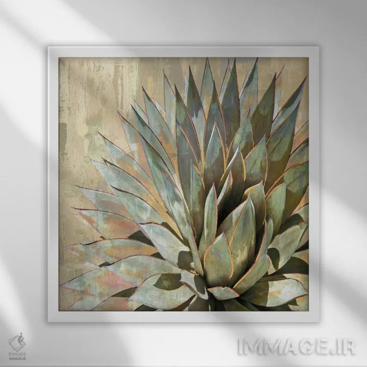 تابلو گیاه گوشتی ۱ اثر لینزی بنسون - نمای قابدار سفید