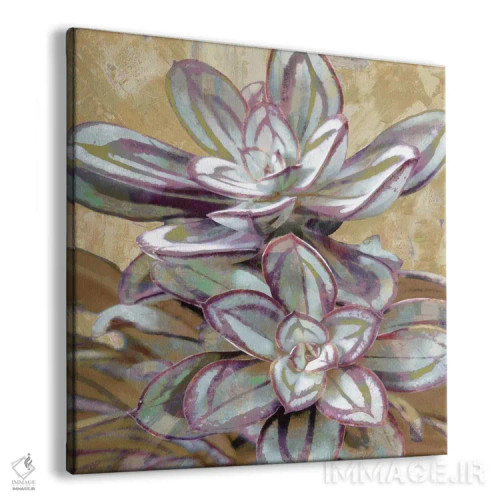 تابلو گیاه گوشتی ۴ اثر لینزی بنسون - نمای پرسپکتیو محصول