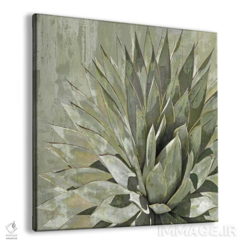 تابلو گیاه گوشتی ۵ اثر لینزی بنسون - نمای پرسپکتیو محصول