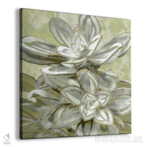 تابلو گیاه گوشتی ۸ اثر لینزی بنسون - نمای پرسپکتیو محصول