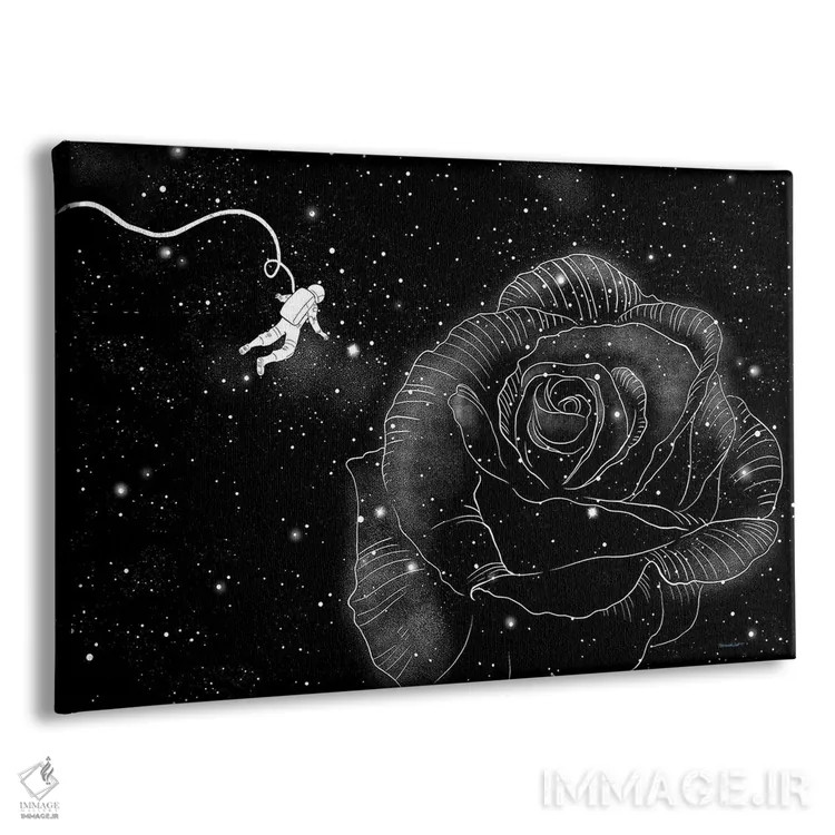 تابلو رز در فضا اثر بگ نوز ورک (استودیو) - نمای پرسپکتیو محصول