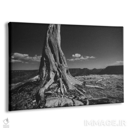 تابلو دره گراند کانیون II (آمریکا) اثر ۳۳ استخوان شکسته - نمای پرسپکتیو محصول