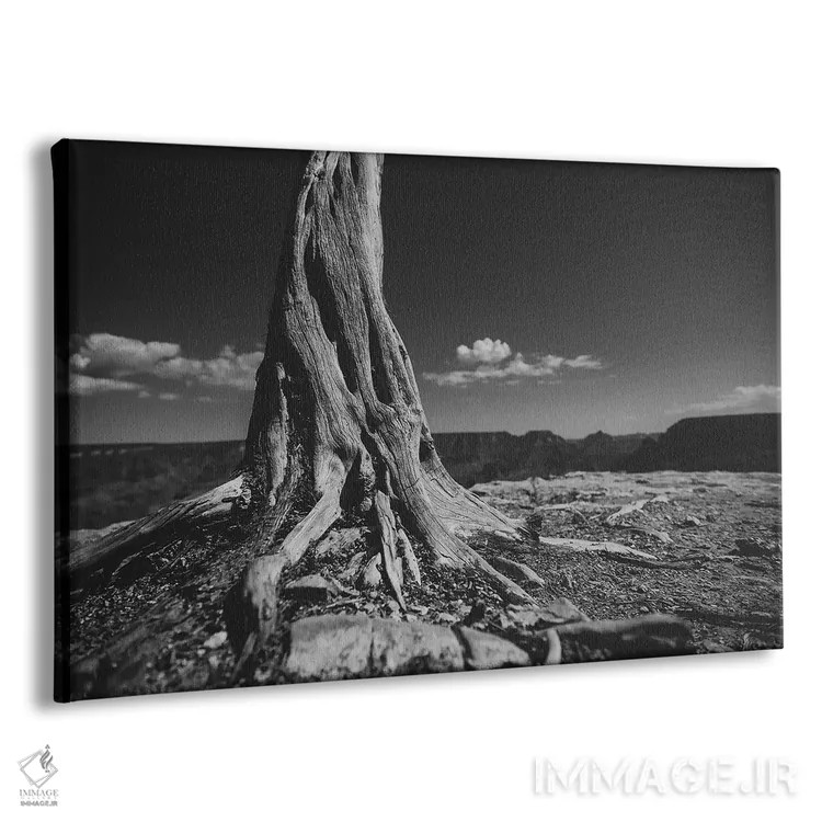 تابلو دره گراند کانیون II (آمریکا) اثر ۳۳ استخوان شکسته - نمای پرسپکتیو محصول