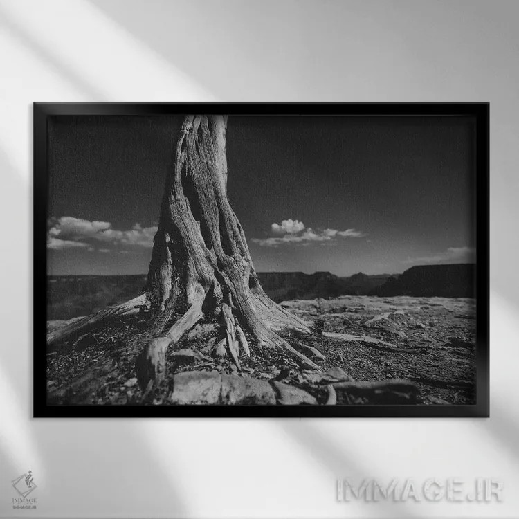 تابلو دره گراند کانیون II (آمریکا) اثر ۳۳ استخوان شکسته - نمای قابدار مشکی