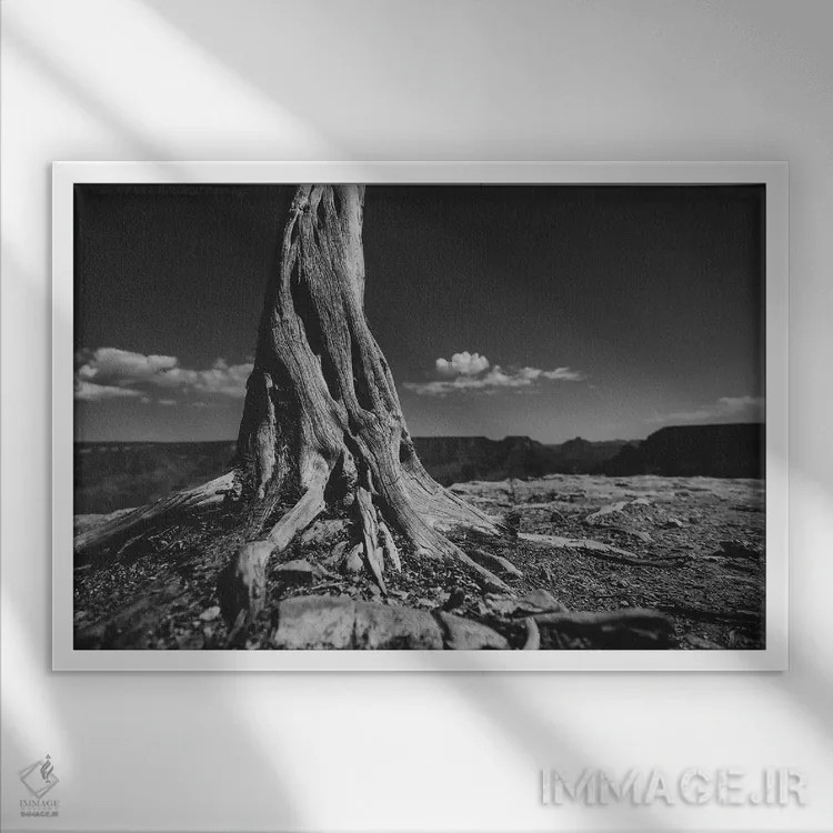 تابلو دره گراند کانیون II (آمریکا) اثر ۳۳ استخوان شکسته - نمای قابدار سفید