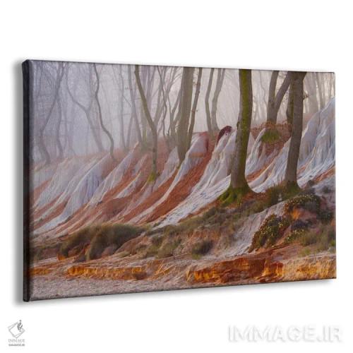 تابلو جنگل افسونشده اثر آدریان بوردَا - نمای پرسپکتیو محصول
