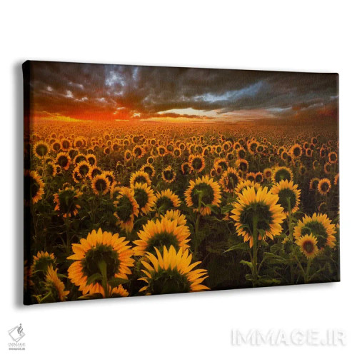 تابلو پژواکهای نور اثر آدریان بوردَا - نمای پرسپکتیو محصول