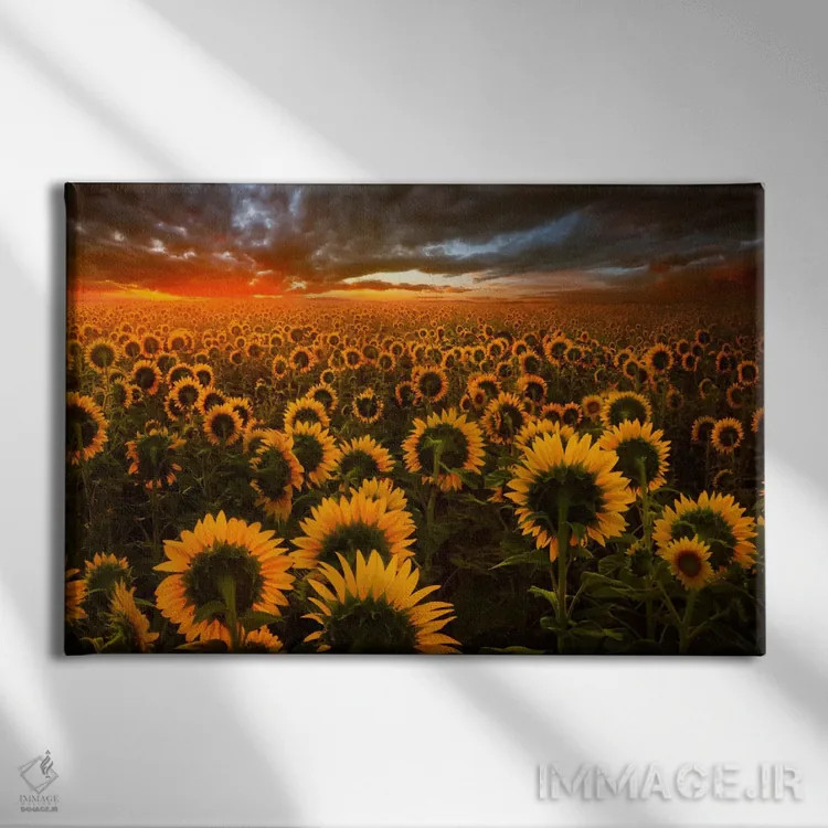 تابلو پژواکهای نور اثر آدریان بوردَا - نمای روبهرو روی دیوار