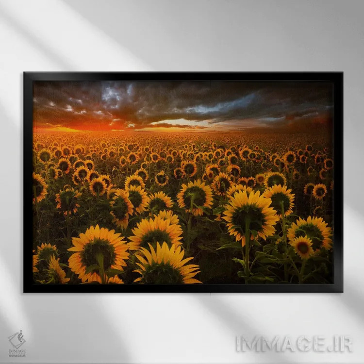 تابلو پژواکهای نور اثر آدریان بوردَا - نمای قابدار مشکی