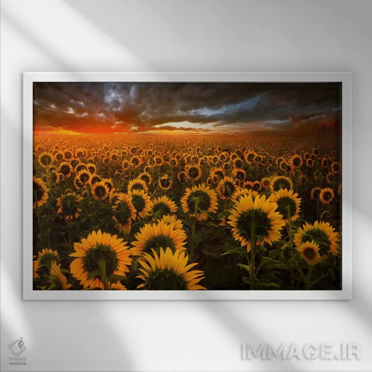 تابلو پژواکهای نور اثر آدریان بوردَا - نمای قابدار سفید