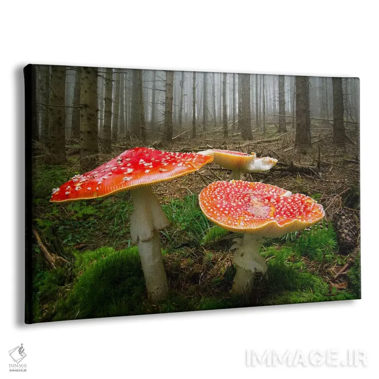 تابلو دروازههای گنومها (موجود افسانهای) اثر آدریان بوردَا - نمای پرسپکتیو محصول